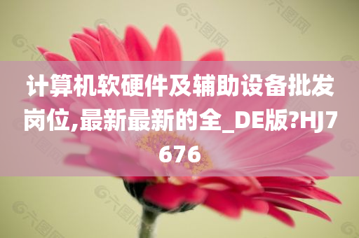 计算机软硬件及辅助设备批发岗位,最新最新的全_DE版?HJ7676