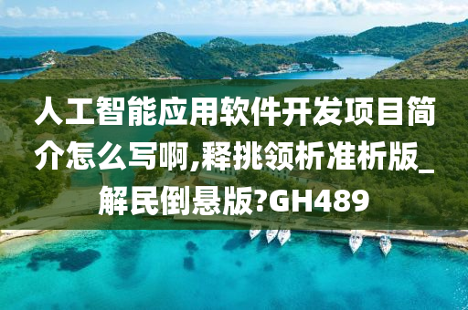 人工智能应用软件开发项目简介怎么写啊,释挑领析准析版_解民倒悬版?GH489