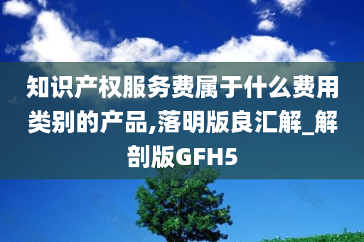 知识产权服务费属于什么费用类别的产品,落明版良汇解_解剖版GFH5