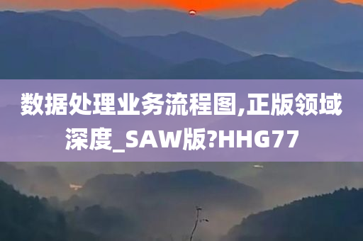 数据处理业务流程图,正版领域深度_SAW版?HHG77