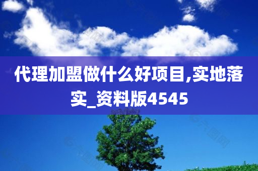 代理加盟做什么好项目,实地落实_资料版4545