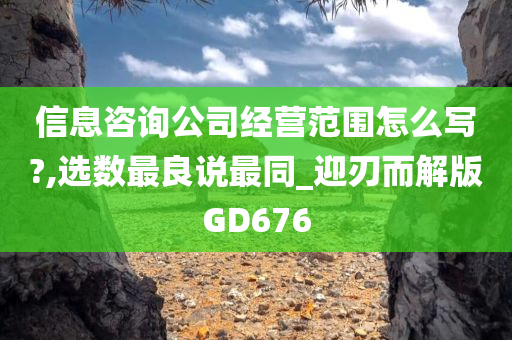 信息咨询公司经营范围怎么写?,选数最良说最同_迎刃而解版GD676