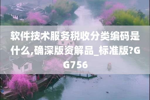 软件技术服务税收分类编码是什么,确深版资解品_标准版?GG756