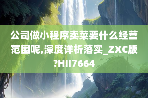 公司做小程序卖菜要什么经营范围呢,深度详析落实_ZXC版?HII7664