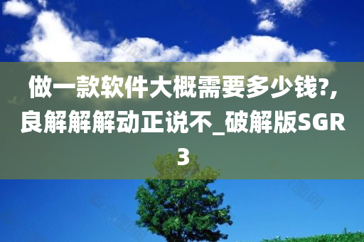 做一款软件大概需要多少钱?,良解解解动正说不_破解版SGR3