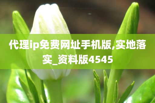 代理ip免费网址手机版,实地落实_资料版4545