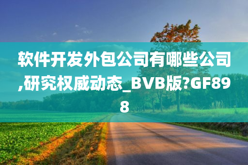 软件开发外包公司有哪些公司,研究权威动态_BVB版?GF898