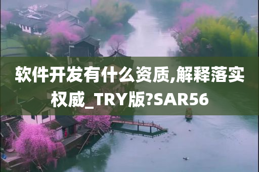 软件开发有什么资质,解释落实权威_TRY版?SAR56