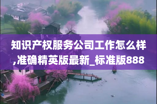 知识产权服务公司工作怎么样,准确精英版最新_标准版888