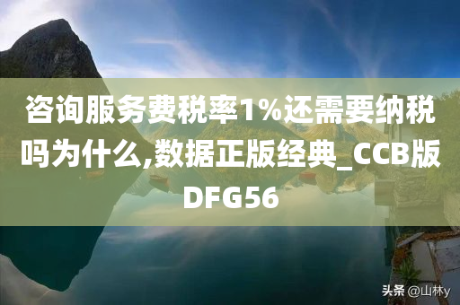 咨询服务费税率1%还需要纳税吗为什么,数据正版经典_CCB版DFG56