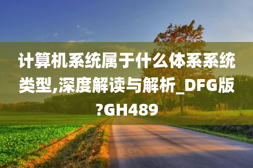 计算机系统属于什么体系系统类型,深度解读与解析_DFG版?GH489