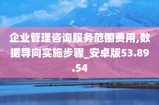 企业管理咨询服务范围费用,数据导向实施步骤_安卓版53.89.54