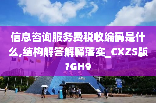 信息咨询服务费税收编码是什么,结构解答解释落实_CXZS版?GH9