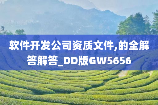 软件开发公司资质文件,的全解答解答_DD版GW5656