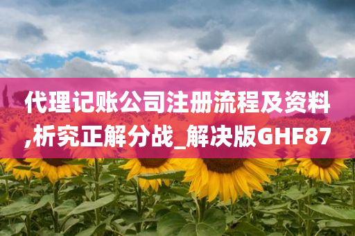 代理记账公司注册流程及资料,析究正解分战_解决版GHF87