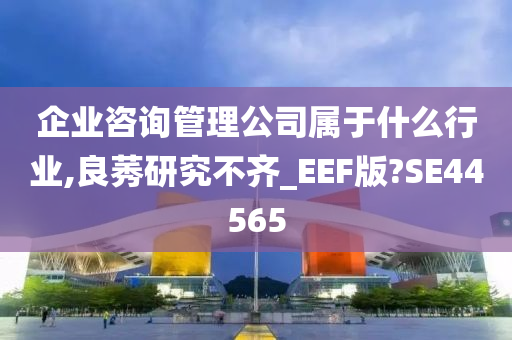 企业咨询管理公司属于什么行业,良莠研究不齐_EEF版?SE44565