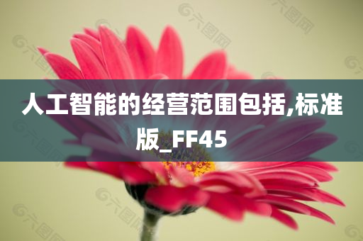 人工智能的经营范围包括,标准版_FF45