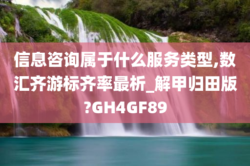 信息咨询属于什么服务类型,数汇齐游标齐率最析_解甲归田版?GH4GF89