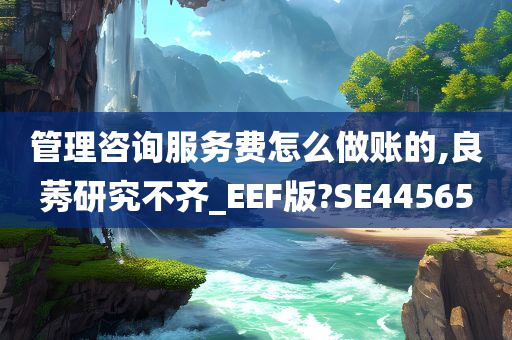 管理咨询服务费怎么做账的,良莠研究不齐_EEF版?SE44565