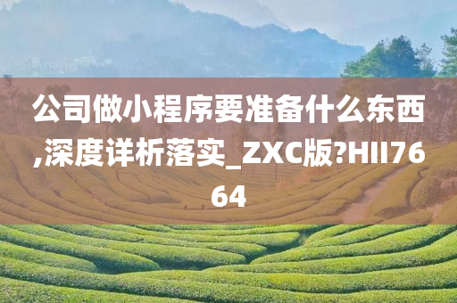 公司做小程序要准备什么东西,深度详析落实_ZXC版?HII7664