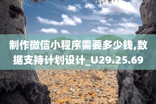 制作微信小程序需要多少钱,数据支持计划设计_U29.25.69