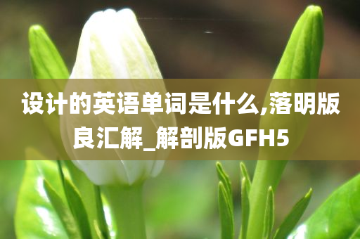 设计的英语单词是什么,落明版良汇解_解剖版GFH5