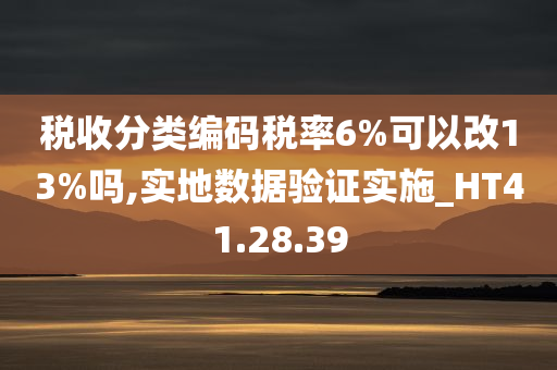 税收分类编码税率6%可以改13%吗,实地数据验证实施_HT41.28.39