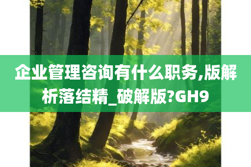 企业管理咨询有什么职务,版解析落结精_破解版?GH9