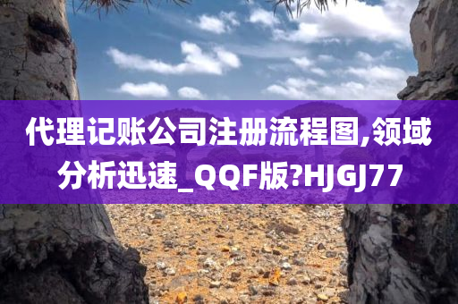 代理记账公司注册流程图,领域分析迅速_QQF版?HJGJ77