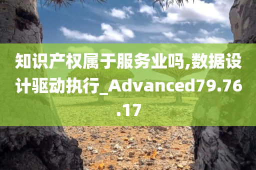 知识产权属于服务业吗,数据设计驱动执行_Advanced79.76.17