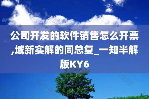 公司开发的软件销售怎么开票,域新实解的同总复_一知半解版KY6