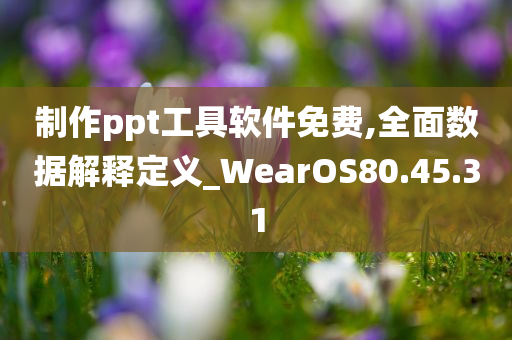 制作ppt工具软件免费,全面数据解释定义_WearOS80.45.31