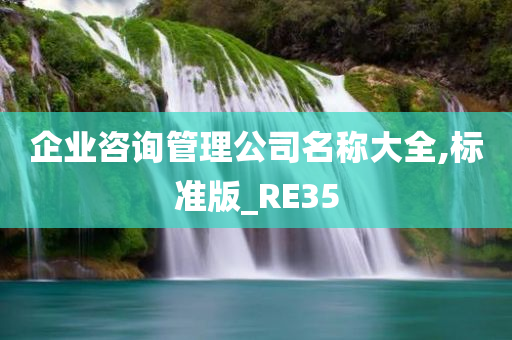 企业咨询管理公司名称大全,标准版_RE35