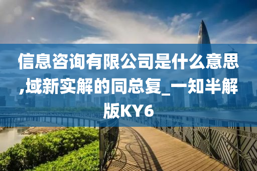 信息咨询有限公司是什么意思,域新实解的同总复_一知半解版KY6