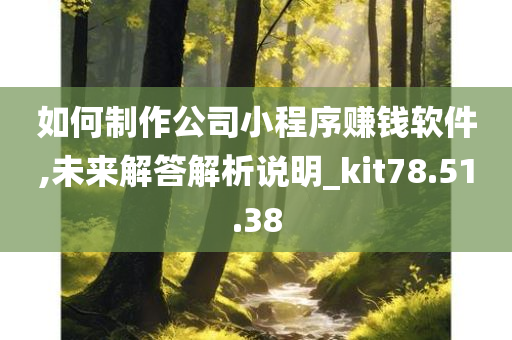 如何制作公司小程序赚钱软件,未来解答解析说明_kit78.51.38