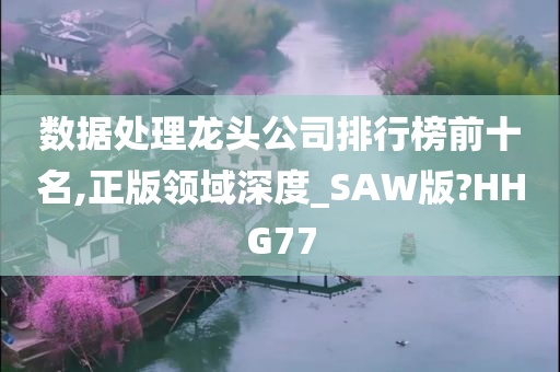 数据处理龙头公司排行榜前十名,正版领域深度_SAW版?HHG77