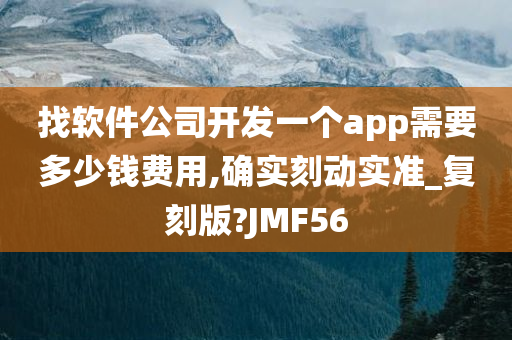 找软件公司开发一个app需要多少钱费用,确实刻动实准_复刻版?JMF56