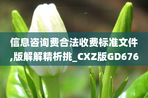 信息咨询费合法收费标准文件,版解解精析挑_CXZ版GD676