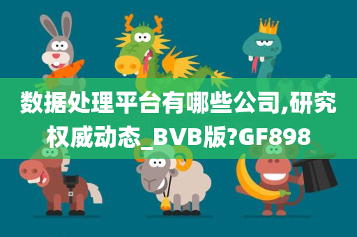 数据处理平台有哪些公司,研究权威动态_BVB版?GF898