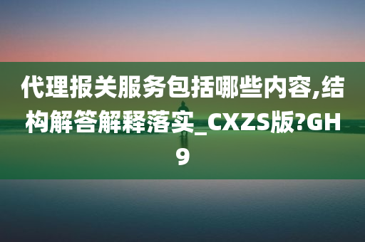 代理报关服务包括哪些内容,结构解答解释落实_CXZS版?GH9