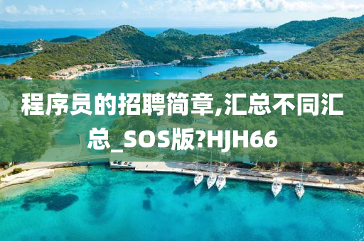 程序员的招聘简章,汇总不同汇总_SOS版?HJH66