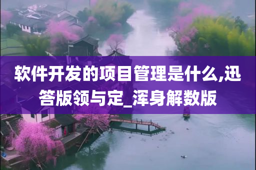 软件开发的项目管理是什么,迅答版领与定_浑身解数版