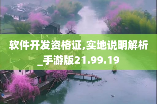 软件开发资格证,实地说明解析_手游版21.99.19