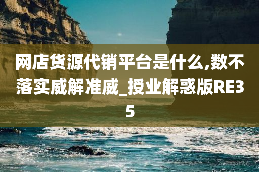 网店货源代销平台是什么,数不落实威解准威_授业解惑版RE35