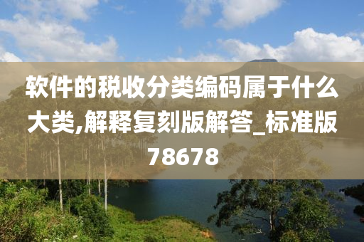 软件的税收分类编码属于什么大类,解释复刻版解答_标准版78678