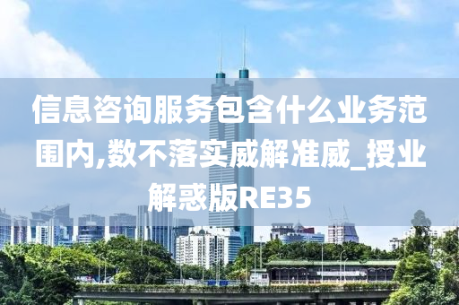 信息咨询服务包含什么业务范围内,数不落实威解准威_授业解惑版RE35