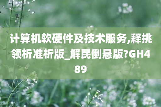 计算机软硬件及技术服务,释挑领析准析版_解民倒悬版?GH489