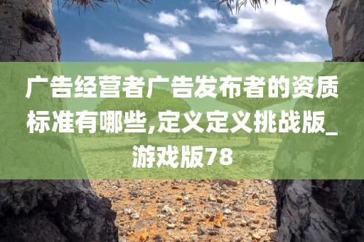 广告经营者广告发布者的资质标准有哪些,定义定义挑战版_游戏版78