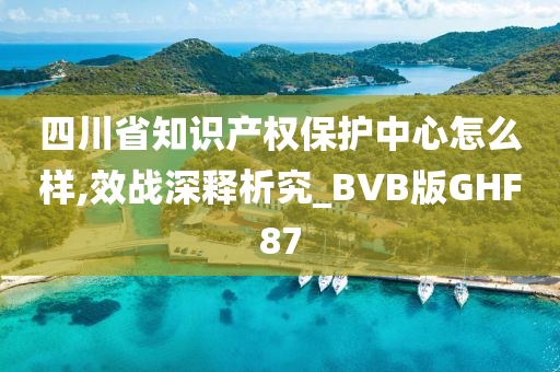 四川省知识产权保护中心怎么样,效战深释析究_BVB版GHF87