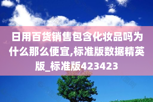 日用百货销售包含化妆品吗为什么那么便宜,标准版数据精英版_标准版423423